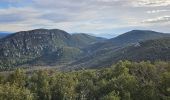 Trail Walking Signes - Plateau de la Limate en partant de Siou Blanc - Photo 19