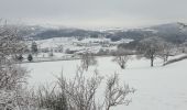 Tour Wandern Royat - Gravenoire_Direct-Charade-Oclede_T - Photo 2