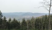 Tocht Stappen Mollkirch - Château guirbarden - Photo 5