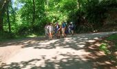 Tour Nordic Walking Le Drennec - le drenec. Loc brevelaire  - Photo 4