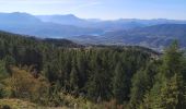 Trail Walking Chorges - Circuit Col de Chorges/Tête des Parias/La Pousterlle/Col de la Gardette. 27/09/19. - Photo 14