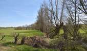 Tour Wandern Welkenrath - 20220411 - Grunhaut 7 Km - Photo 4