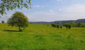 Tocht Stappen Gedinne - Balade à Gedinne - Photo 14