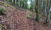 Excursión Senderismo Septmoncel les Molunes - mo sentier des lapidaires - Photo 15