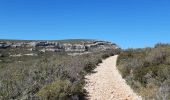 Tour Wandern Allauch - la treille le gros hibou par tête rouge - Photo 3