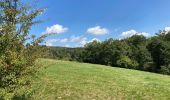 Trail Walking Waimes - Ondenval  - Photo 1