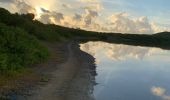 Tocht Trail Saint-François - Anse la gourde  - Photo 4