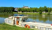 Tour Zu Fuß Joigny - Boucle 25 km Joigny La Roche - Photo 4