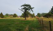 Tour Wandern Chièvres - Wapi 3.06 - La ronde des Piecentes - Photo 1