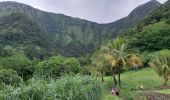 Tour Wandern Le Morne-Vert - Trace Ti Jadin - Photo 11