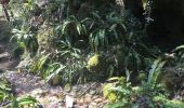 Tour Wandern Lauroux - Cirque de Labeil - Lauroux-Labeil - Photo 15