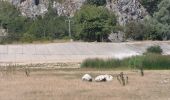 Trail On foot Piedimonte Matese - (SI S23) Pidimonte Matese - Campitello Matese - Photo 2