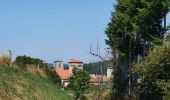 Tour Wandern La Chaise-Dieu - Sentier du Serpent d'Or  - Photo 2