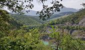 Tocht Stappen Treffort - Les Passerelles du Monteynard - Photo 9