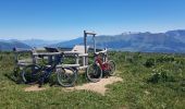 Tour Mountainbike La Motte-d'Aveillans - Le Sénépy depuis Les Signaraux - Photo 8