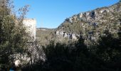 Randonnée Marche Cabrières-d'Avignon - le mur de la peste château petraque - Photo 9