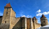 Randonnée Marche Fontainebleau - La rando des 3 chateaux - Parcours 42 km - Photo 11