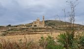 Tour Wandern Ta' Kerċem - MALTE 2024 / 02 : CLIFFS WEST GOZO - Photo 6