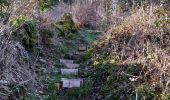 Trail Walking Kirchberg - Sommerseite 2023 - Photo 18