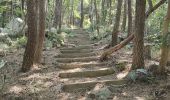 Trail Walking Unknown - Autour du Peak Mangsan  - Photo 2