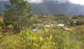 Tour Wandern La Possession - Boucle Marla - La Nouvelle depuis le col des Bœufs - Photo 4