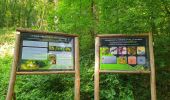 Tocht Stappen Gerpinnes - Balade dans le bois de Loverval - Photo 3