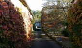 Tocht Stappen Chazelles - La randonnée autour de Chazelles  - Photo 11