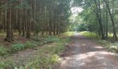 Trail Walking Wellin - La Vallée de l'Almache - Photo 3