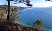 Excursión Senderismo Crozon - cap de la chèvre depuis maison des minéraux  - Photo 6