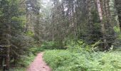 Excursión Senderismo Charix - lac de genin - bretouze /  retour - Photo 17