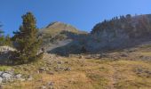 Trail Walking Saint-Agnan-en-Vercors - Grand Veymont en A/R par le pas des chatons - Photo 10