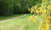 Tour Wandern Ercé-en-Lamée - 21052021 Erce en Lamee /Bonne Fontaine - Photo 2