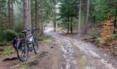 Trail On foot Langerwehe - Schlich Rundweg 71 - Photo 8