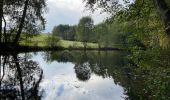 Tour Wandern Léglise - Bombois 8-9 km - Photo 7