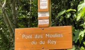 Randonnée Marche Montauroux - Pont des Tuves MM - Photo 15