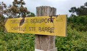 Tocht Stappen Paimpol - Paimpol flèche Ste Barbe - Photo 2