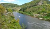 Tour Wandern Aurec-sur-Loire - saut du chien le besset - Photo 1