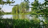 Tocht Stappen Nijvel - Balade à Monstreux - Nivelles - Photo 10