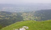 Trail Walking Autrans-Méaudre en Vercors - La grande Breche - Photo 9