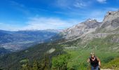 Tocht Stappen Passy - SIXT PASSY RESERVE: LAC DE PORMENAZ - Photo 10