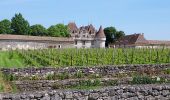 Randonnée Vélo de route Lalinde - J2 Bergerac et Montbazillac - Photo 4