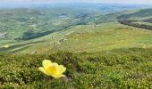 Trail Walking Dienne - Laqueuille seycheuse vassiviere Peyre-Gary  - Photo 4