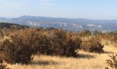 Tocht Stappen Robion - Robion les taillades rochers de baude  - Photo 14