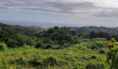 Trail Walking Le Lorrain - Boucle Dorival - Cledelin - Carabin - Vallon - Photo 10