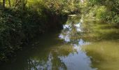 Tocht Wegfiets Le Grau-du-Roi - grau vélo marssillargues 17.06.23 - Photo 5