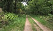 Trail Walking Saint-Malo-de-Beignon - 16.05.2019 - ST Malo de BEIGNON à GUER - Photo 10