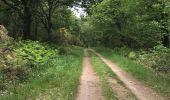 Trail Walking Saint-Malo-de-Beignon - 16.05.2019 - ST Malo de BEIGNON à GUER - Photo 10