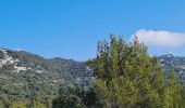 Tocht Stappen La Valette-du-Var - coudon sud et crête ouest - Photo 1