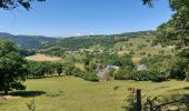 Trail Walking Menet - 20210614 Menet - Photo 9