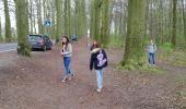 Tour Wandern Morlanwelz - promenade bois et parc de mariemont - Photo 13